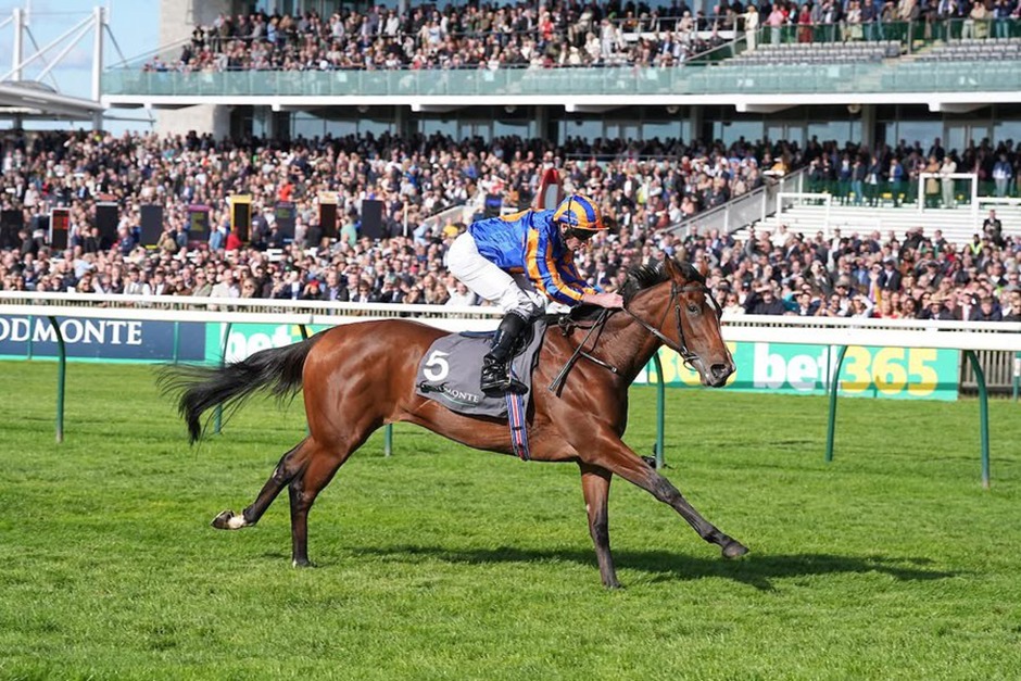 Newmarket Rowley Mile racecourse hosting Sun Chariot Day 2025
