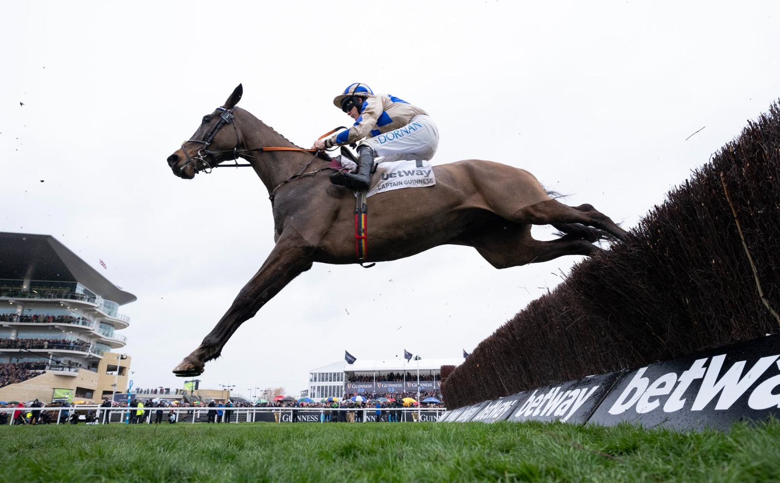 Horses racing at Tipperary Racecourse during the October 5, 2025 meeting featuring Flat and National Hunt contests