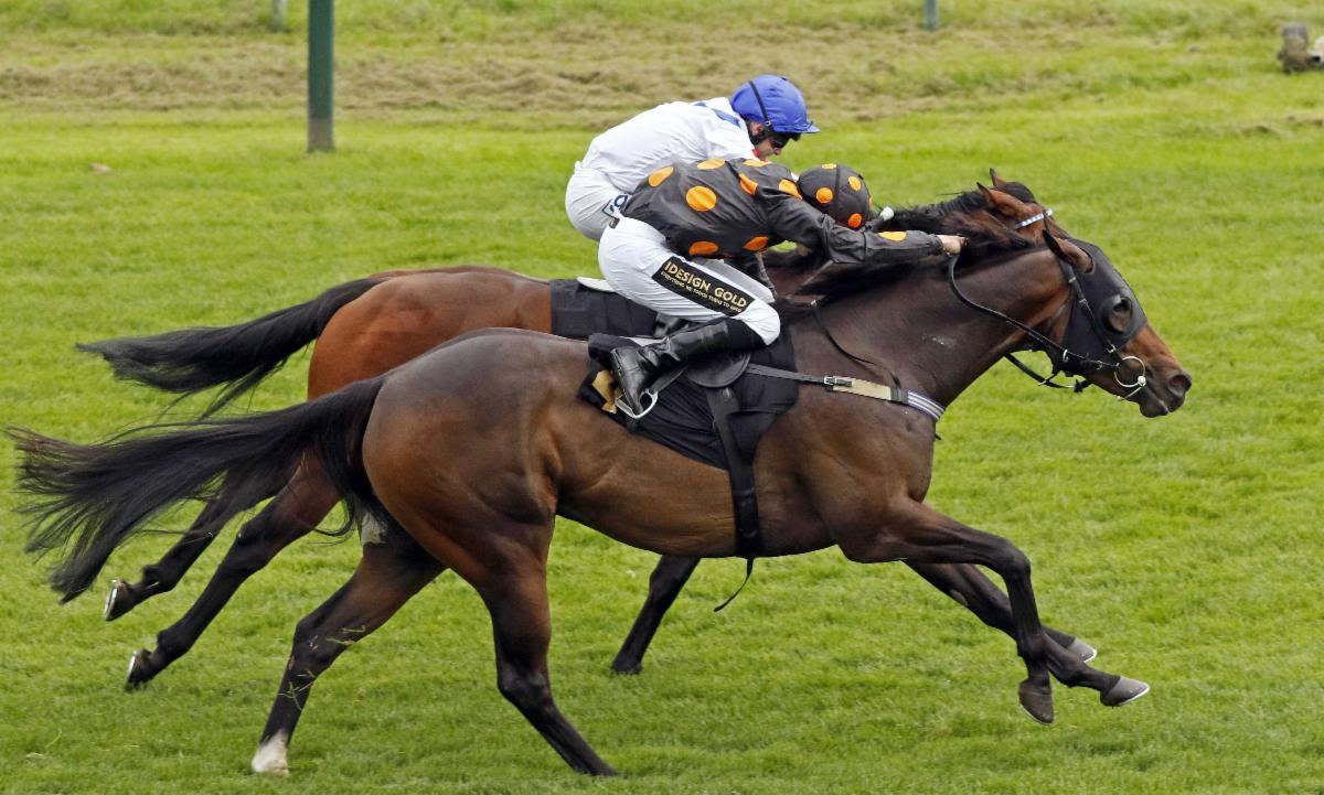 Jenever wins the PricedUp Grassroots Series Final Sprint Handicap under George Wood for trainer Jessica Macey.