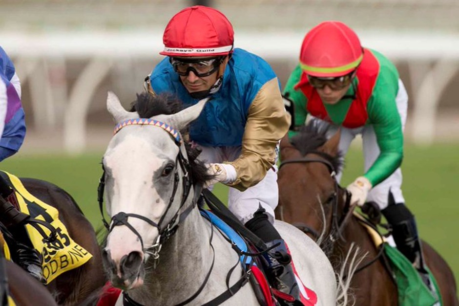 Woodbine Racetrack night racing on October 5, 2025 featuring stakes and turf contests under the lights