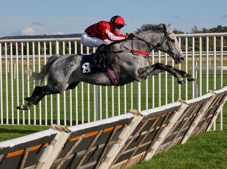Horses racing at Kelso Racecourse during Family Fun Raceday 2025