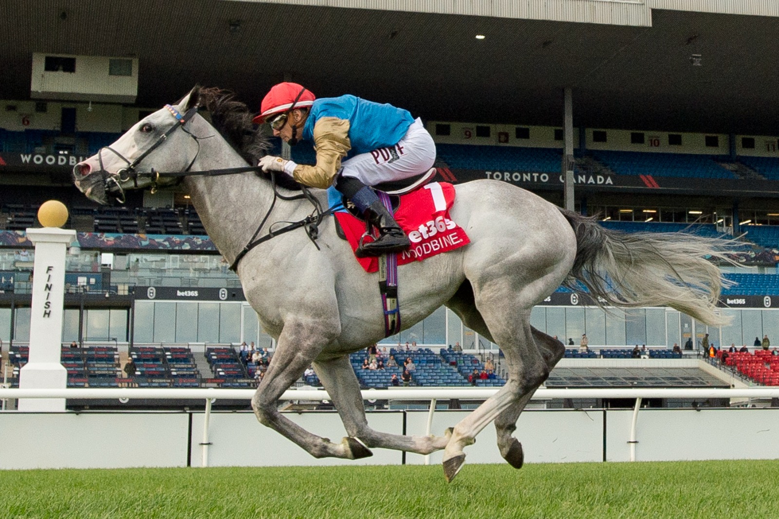 Nations Pride preparing for the 2025 Canadian International at Woodbine Racecourse
