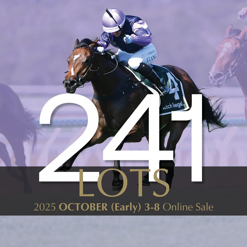 Racing and breeding prospects featured in the Inglis Digital October Online Sale