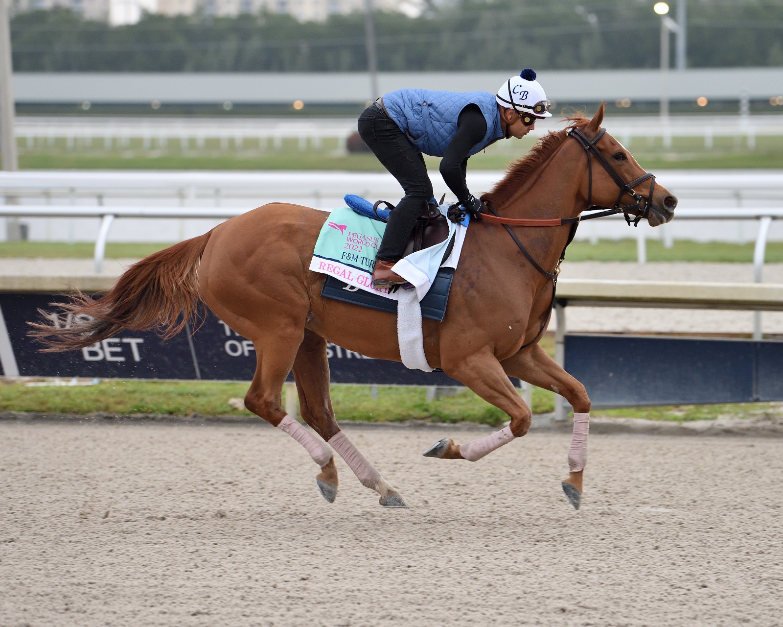 Ready for Shirl in action at Woodbine ahead of the Pegasus World Cup Filly & Mare Turf