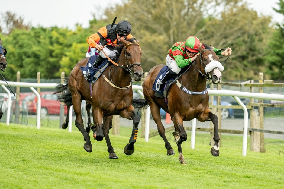 Brighton Racecourse Residents Day Racing 2025 – scenic flat racing action overlooking the English Channel