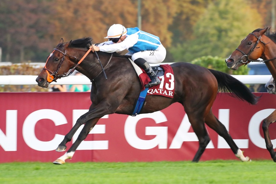 Daryz winning the 2025 Prix de l’Arc de Triomphe at Longchamp Racecourse