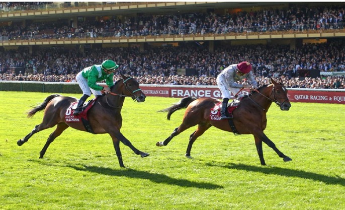 France Galop Auteuil racecourse – Jumps racing action on 7 October 2025