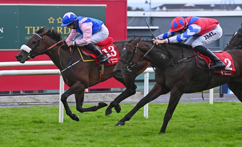 Galway Horse Racing 2025 – Horses racing on Galway Racecourse turf