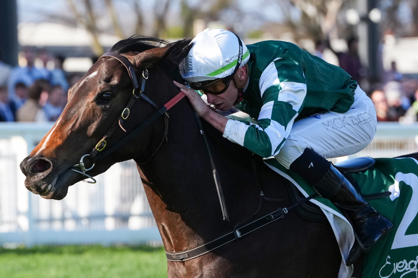 Magic Time to represent Inglis and Yulong in The Everest 2025