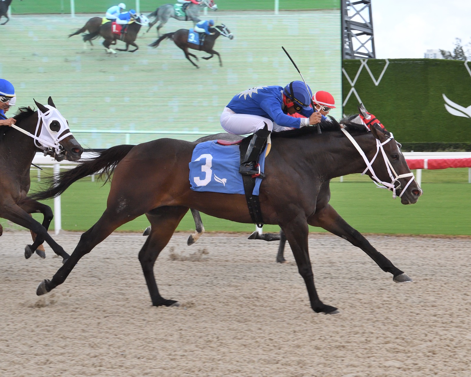 Choose Joy winning the feature race at Gulfstream Park under jockey Miguel Vasquez after a 435-day layoff.