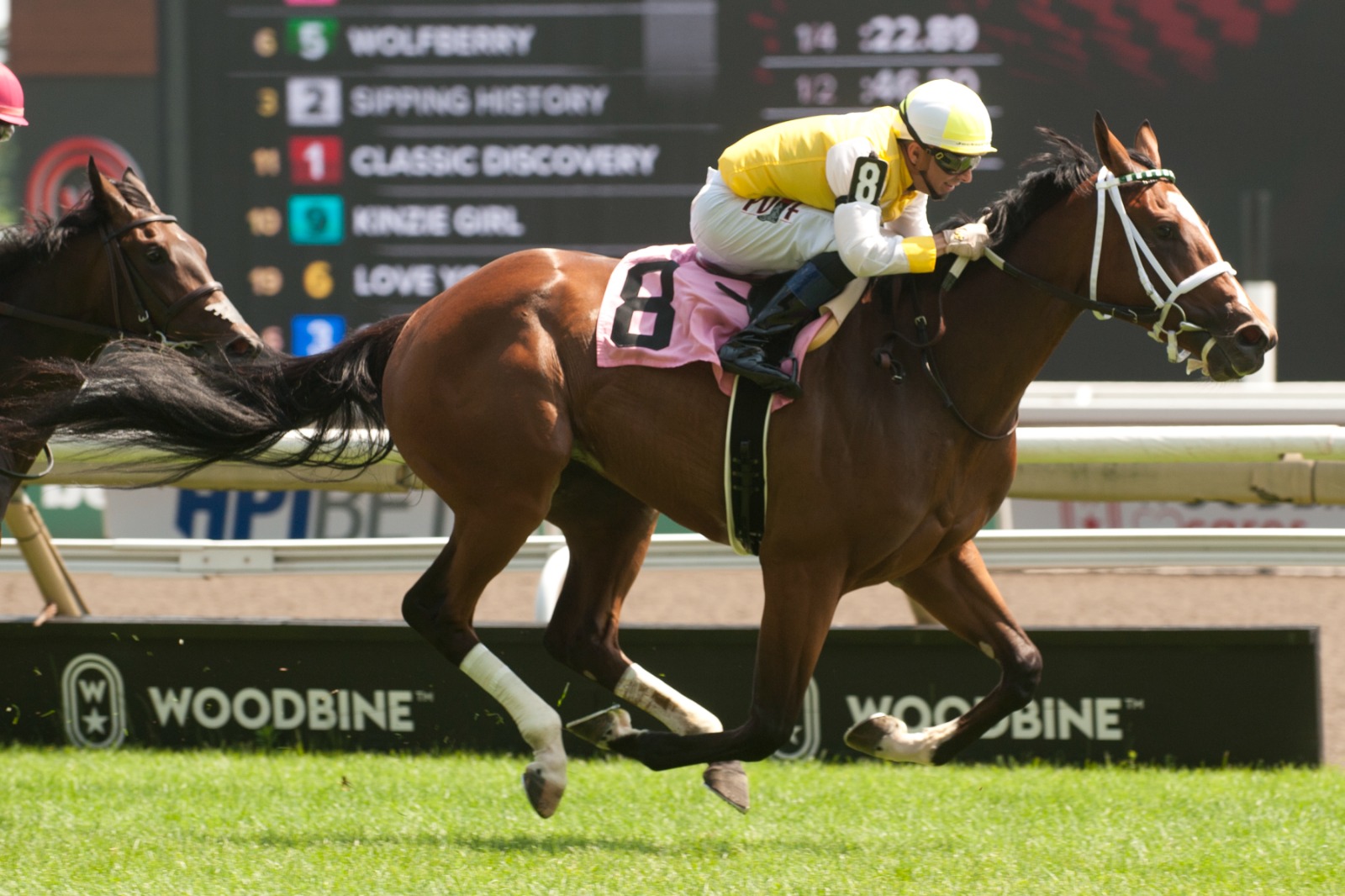 Highwaytothemoon training ahead of the Algonquin Stakes at Woodbine