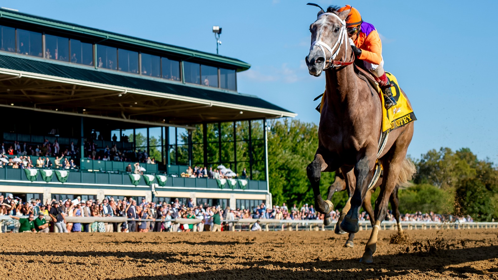 Cygames logo displayed at Breeders’ Cup Sprint at Del Mar 2025