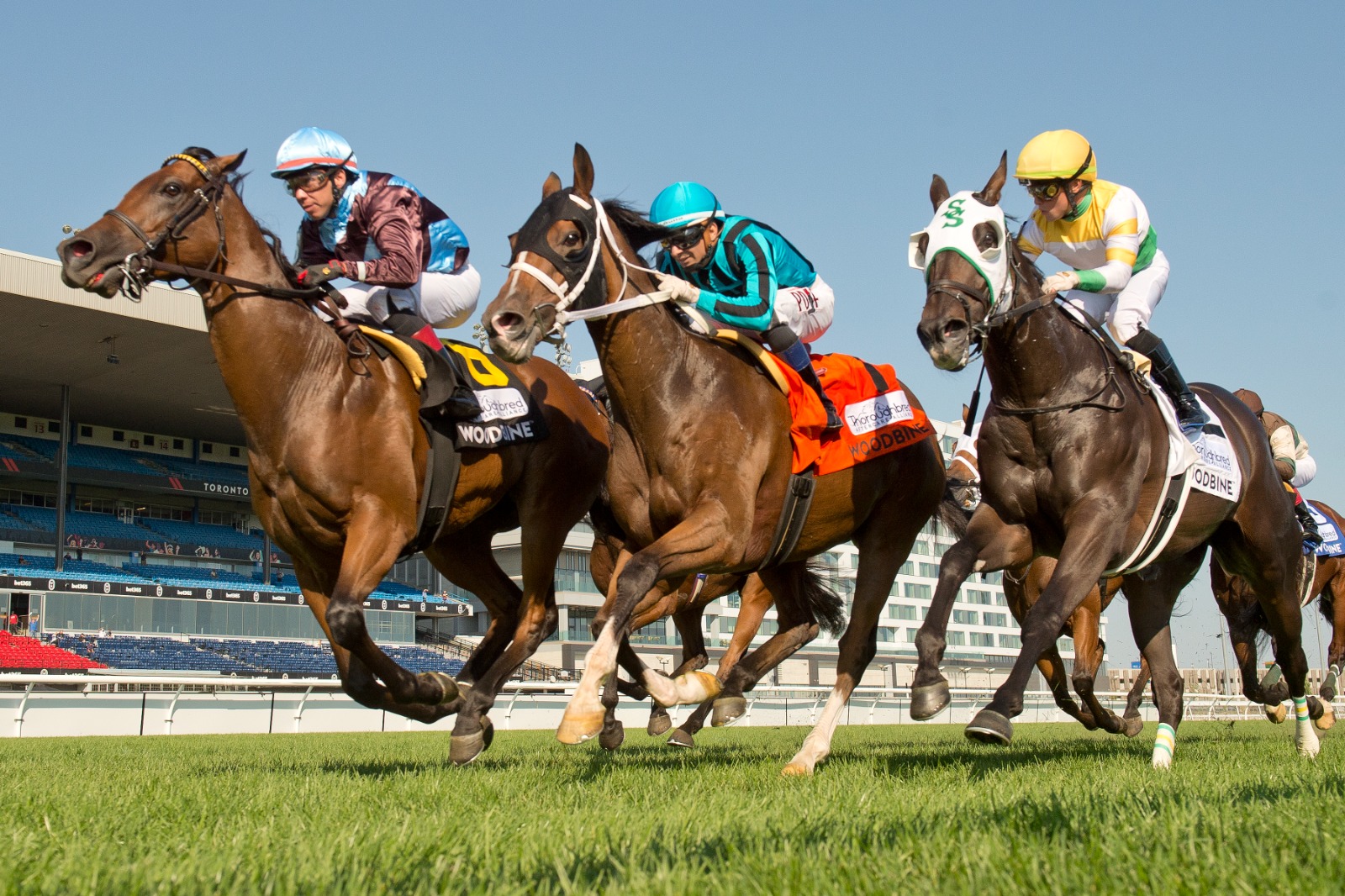 No Nay Hudson (IRE) winning the Grade 2 Nearctic Stakes at Woodbine under jockey Pablo Morales