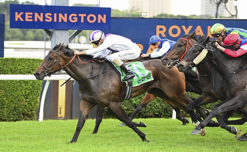 Royal Randwick Kensington Track midweek racing action with horses and jockeys competing under sunny skies