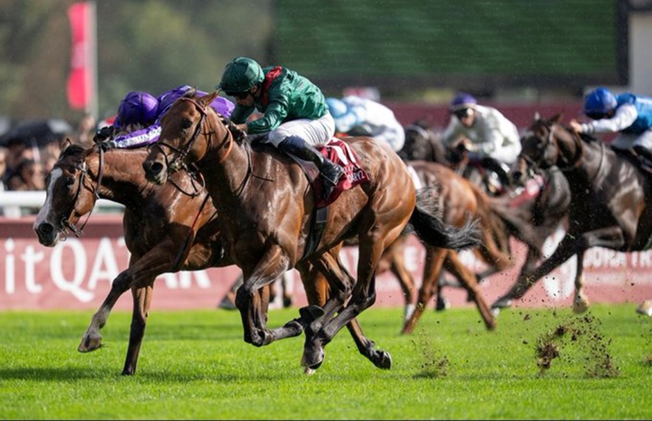 Alphecca and Gary Carroll winning the Irish Stallion Farms EBF Maiden at Tipperary Racecourse on October 6, 2025