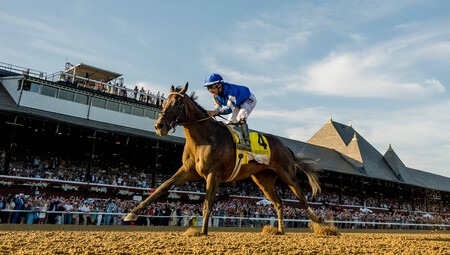 Sovereignty in action during a Grade 1 race, leading the Breeders’ Cup Classic Rankings