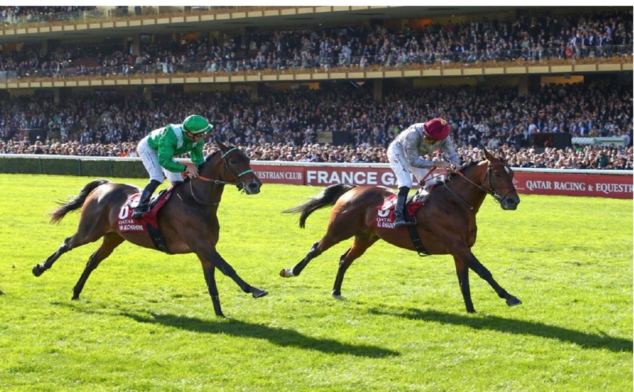 Saint-Cloud Racecourse October 2025 – Race Preview and Schedule