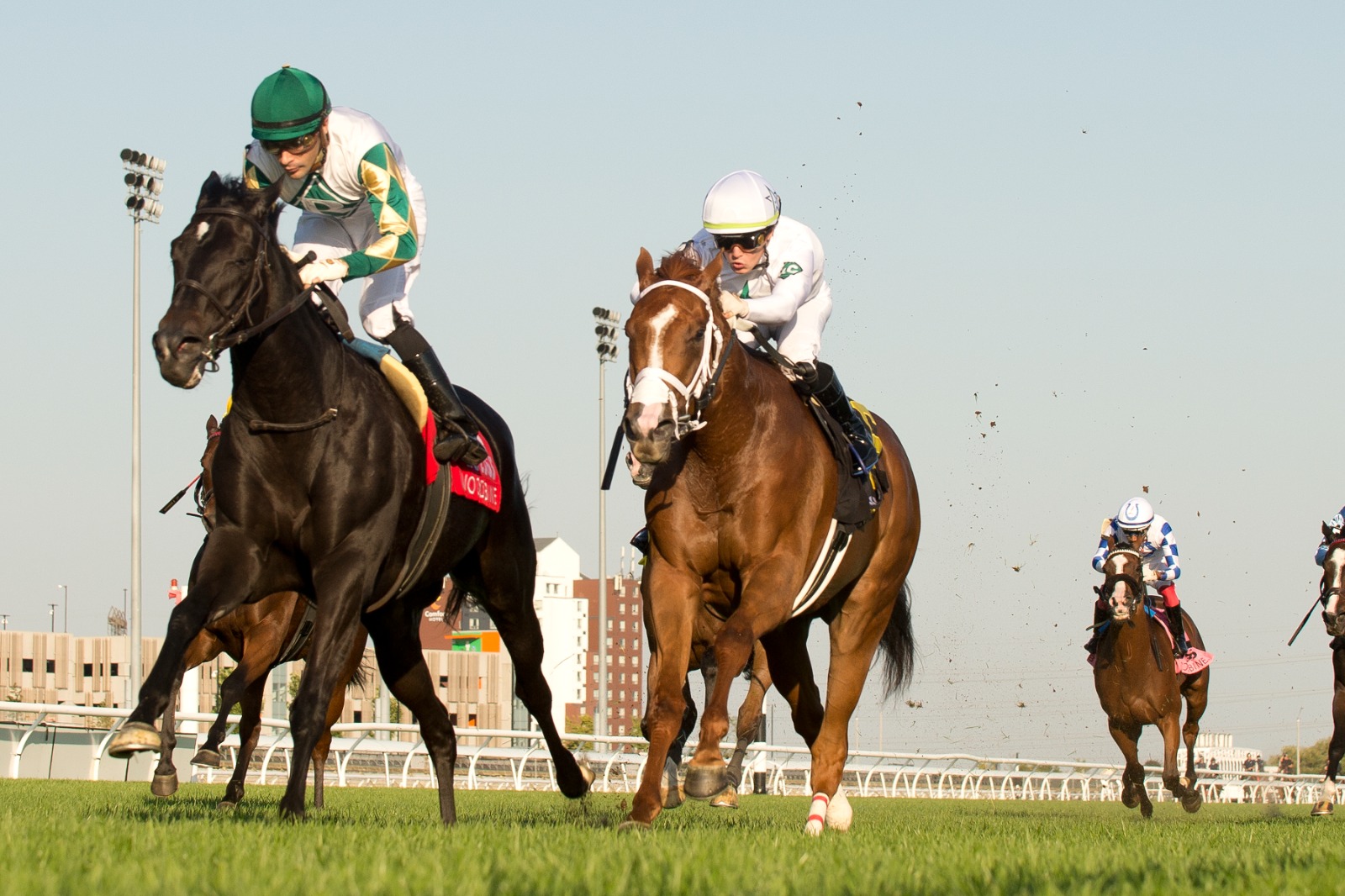 Breath Away (GB) wins the Grade 2 Dance Smartly Stakes at Woodbine under Sahin Civaci