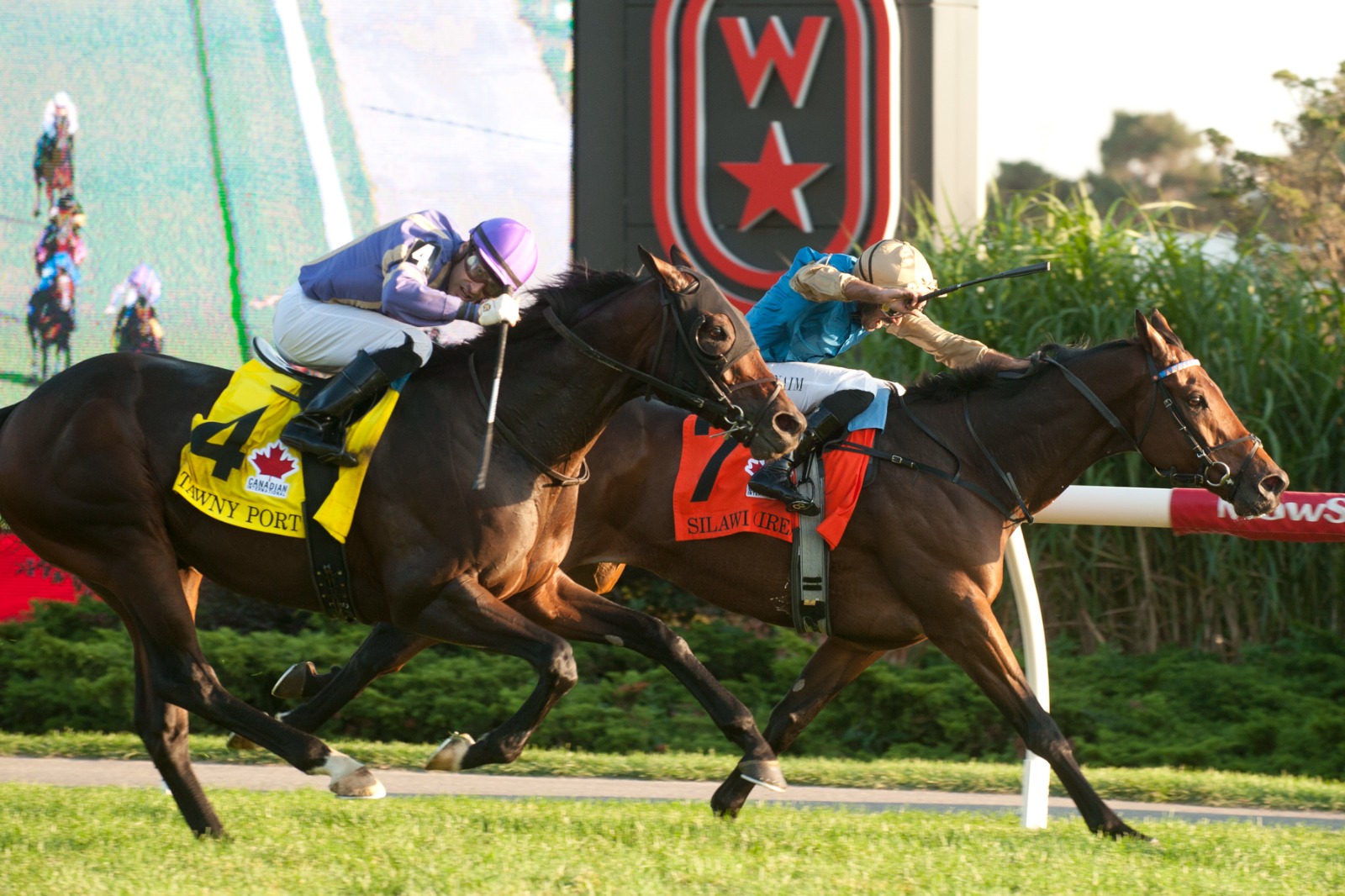 Silawi (IRE) wins the 2025 Canadian International at Woodbine in a thrilling photo finish