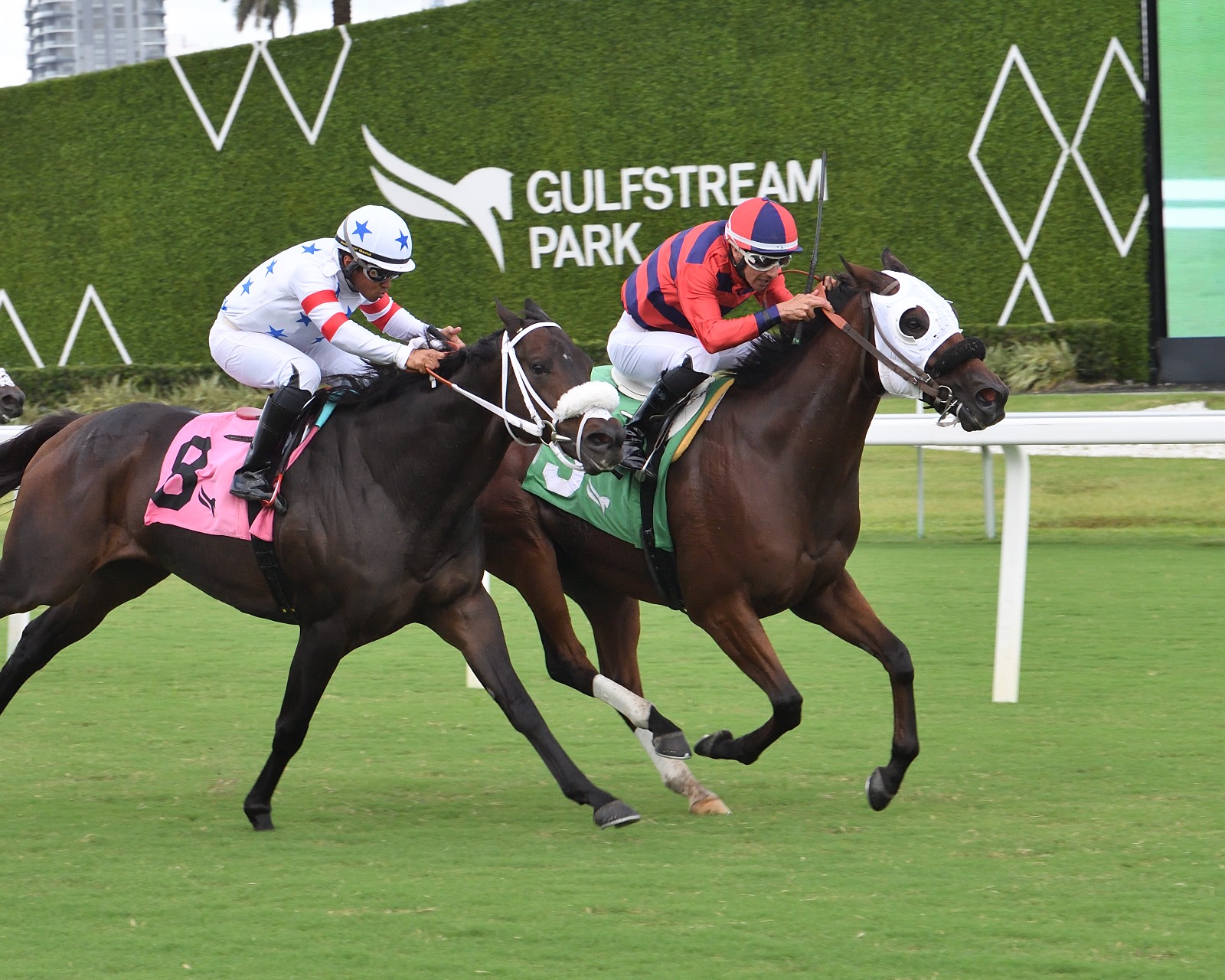 private-thoughts-jet-propulsion-gulfstream-park-2025.jpg