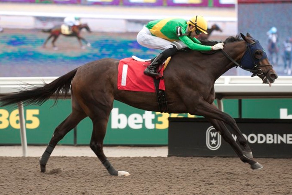 Woodbine Racetrack October 10 Thoroughbred races preview