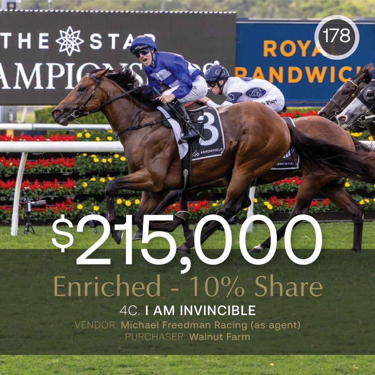 Shares of G2 winner Enriched attract top bids at Inglis Digital October Sale