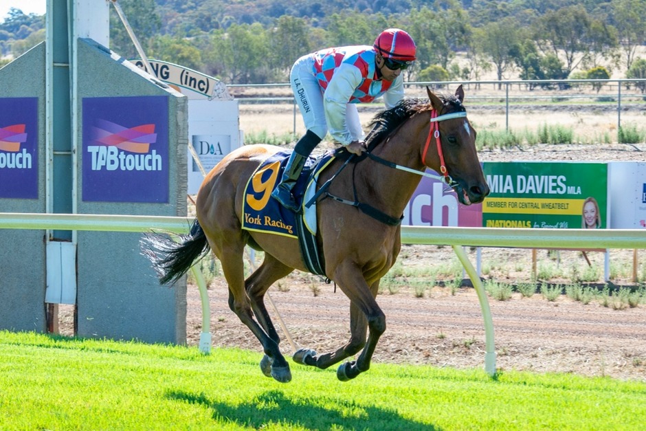 Horses racing at TABtouch York Racecourse during the Industry Day 2025 in Western Australia