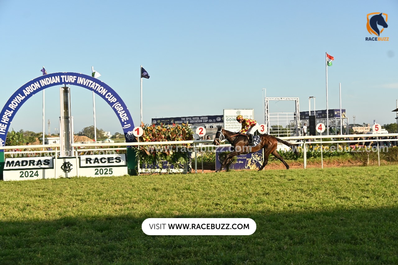 Chennai Race Preview October 10 2025 – Coromandel Gromor Fillies Trial Stakes at Guindy Racecourse