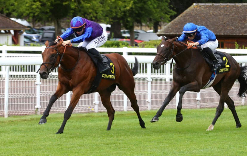 Horses racing at Chantilly Racecourse during the October 2025 meeting