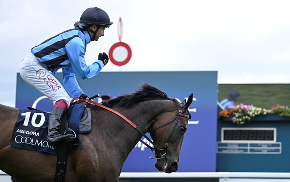 York Racecourse Sprint Trophy 2025 – Key Races and Top Contenders