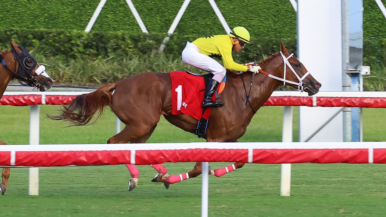 Rajiv Maragh riding Celestial Express at Gulfstream Park during Sunshine Meet