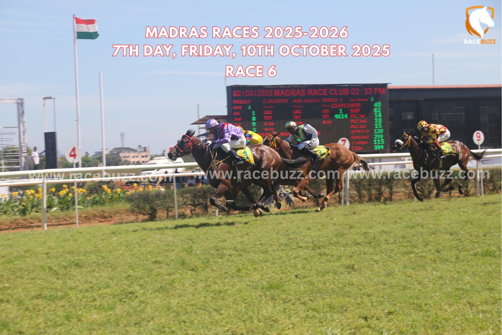 Charismatic winning The Bugs Bunny Handicap at Madras Races 2025