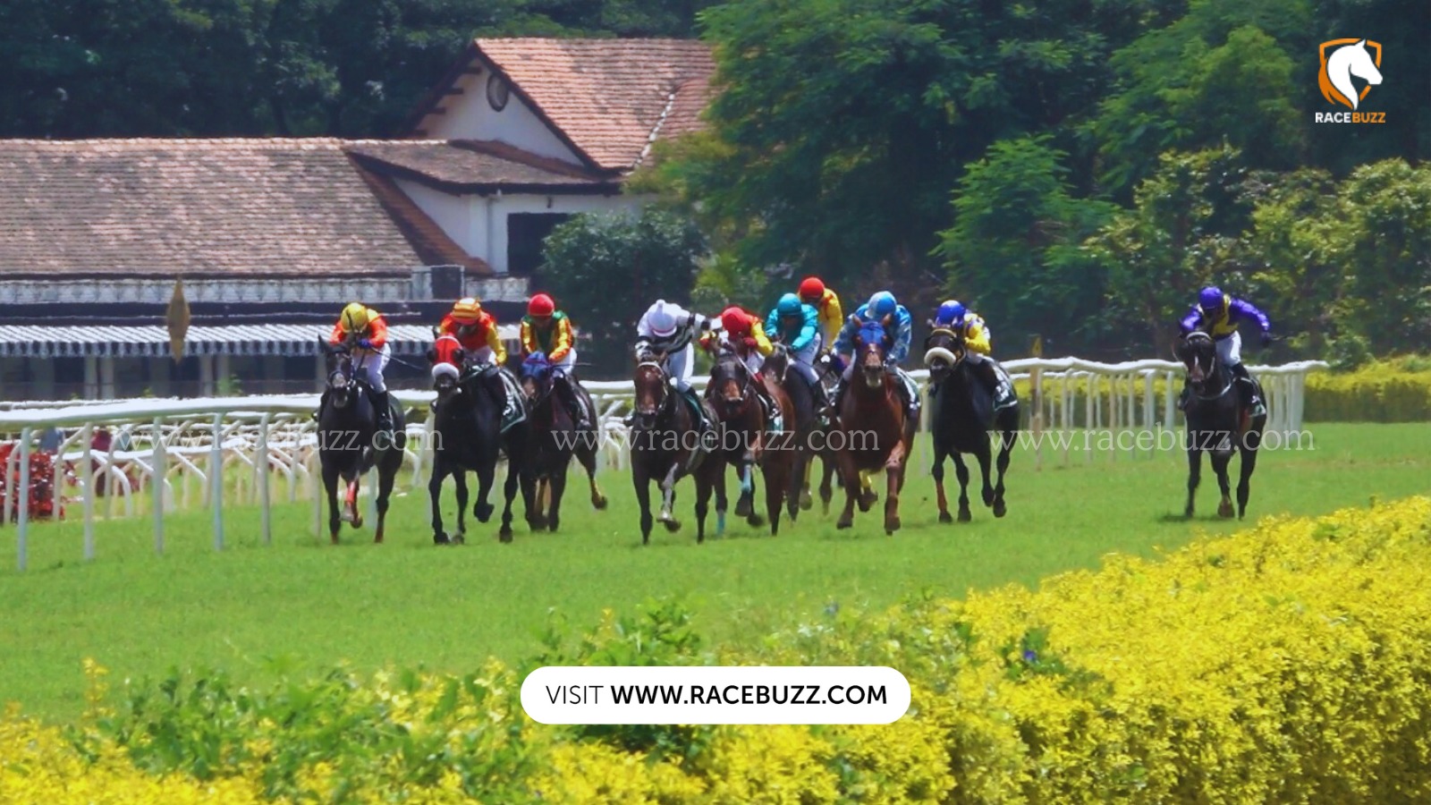 Grade I Pune Derby 2025 action at Pune Race Club, featuring top three-year-olds and thrilling finish