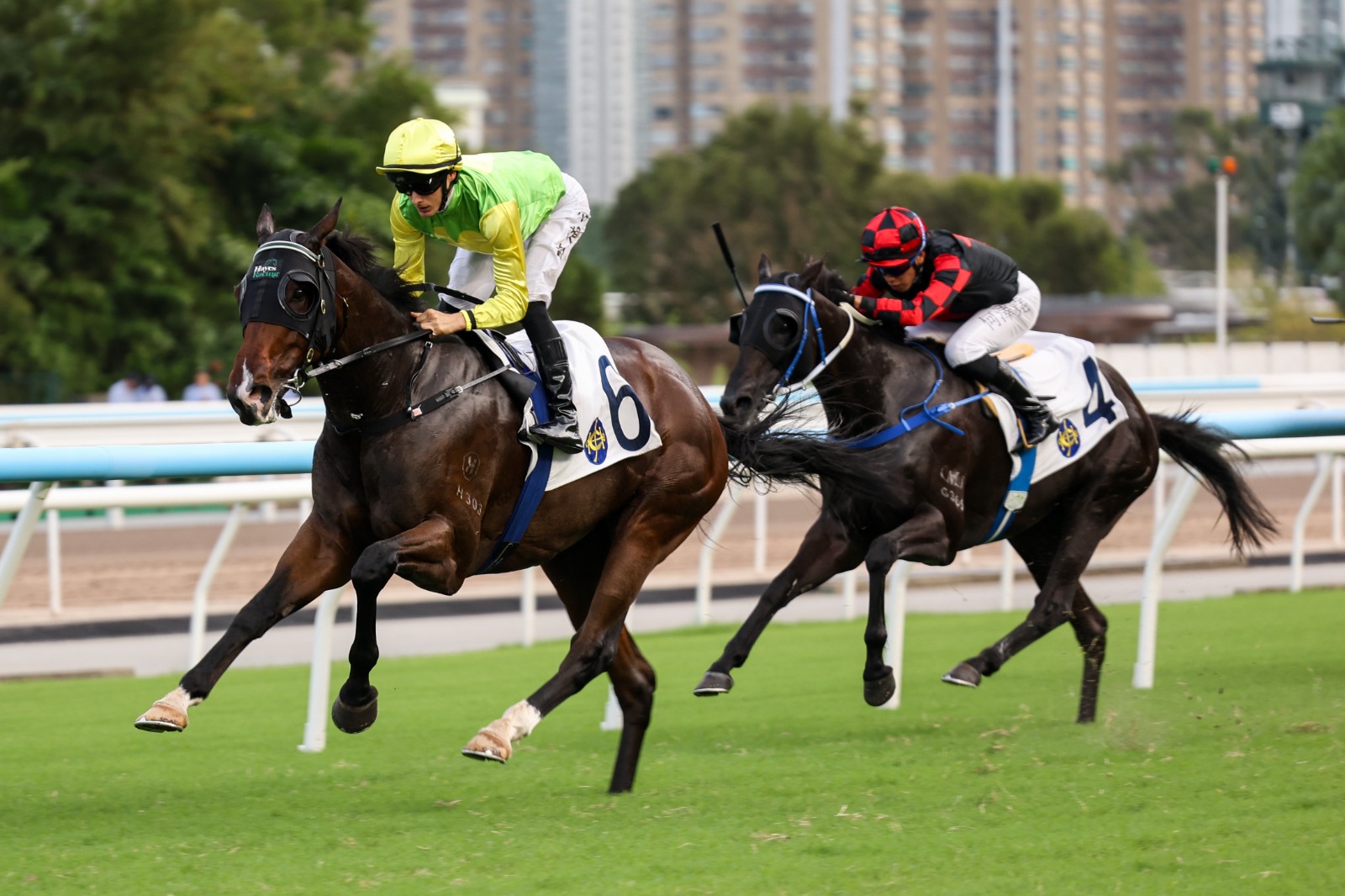 Dancing Code preparing for rematch with Tomodachi Kokoroe at Sha Tin Racecourse