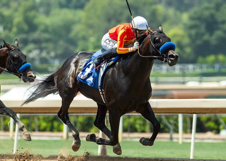 Santa Anita Park race day action with horses and jockeys competing under California skies