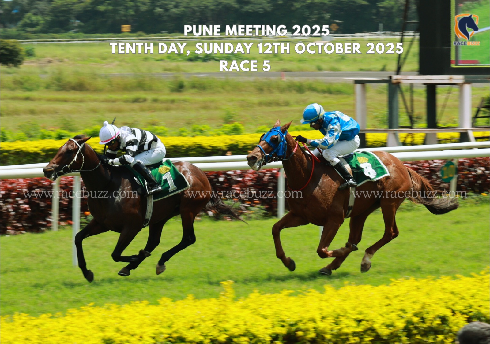 Shambala winning Noshir & Dolly Dhunjibhoy Sprint Million at Pune