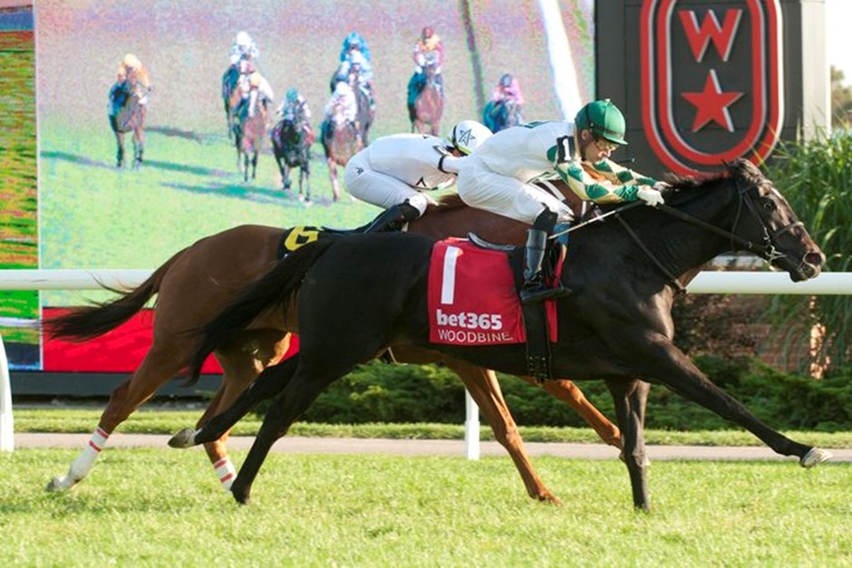 Horses racing under the lights at Woodbine Thoroughbred on October 13, 2025