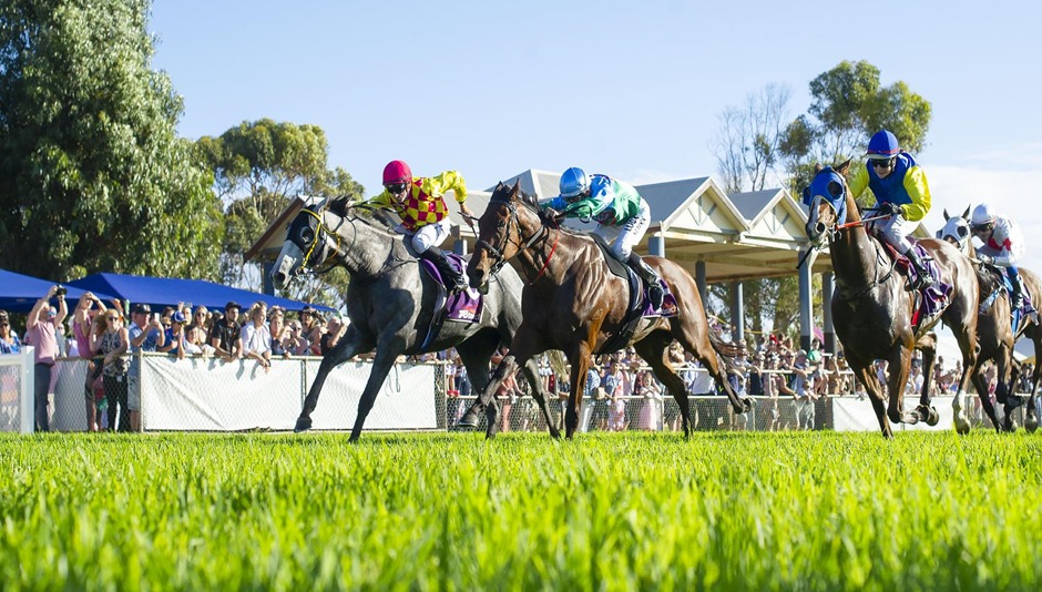 Horses racing at the 2025 Great Western Insurance Brokers Ladies Day at Geraldton Turf Club