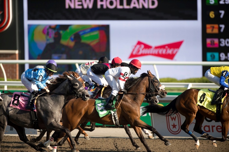 Horses racing under the lights at Woodbine Racetrack during the October 12, 2025 night meeting.