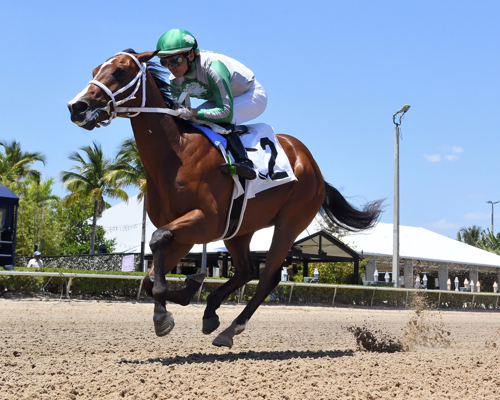 Finding Strength and Mythical prepare for the FTBOA Florida Sire Stakes at Gulfstream Park