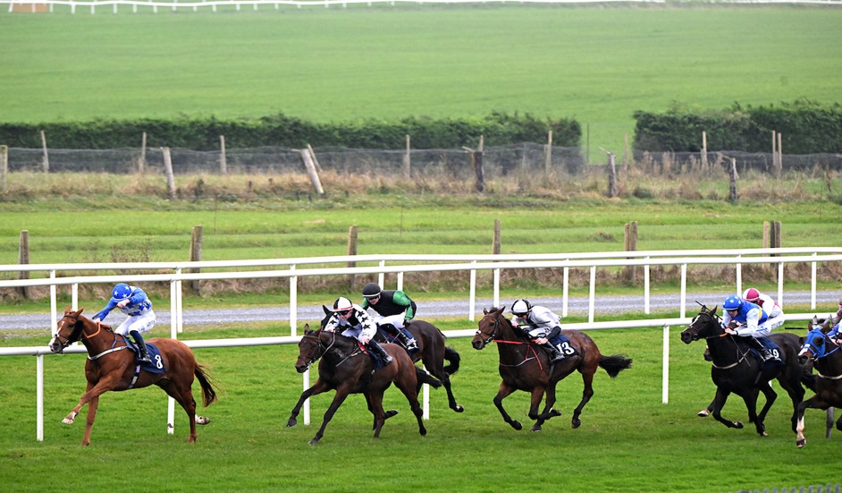 Roscommon Racecourse 2025 Season Finale – Final Race Day Highlights and Winners