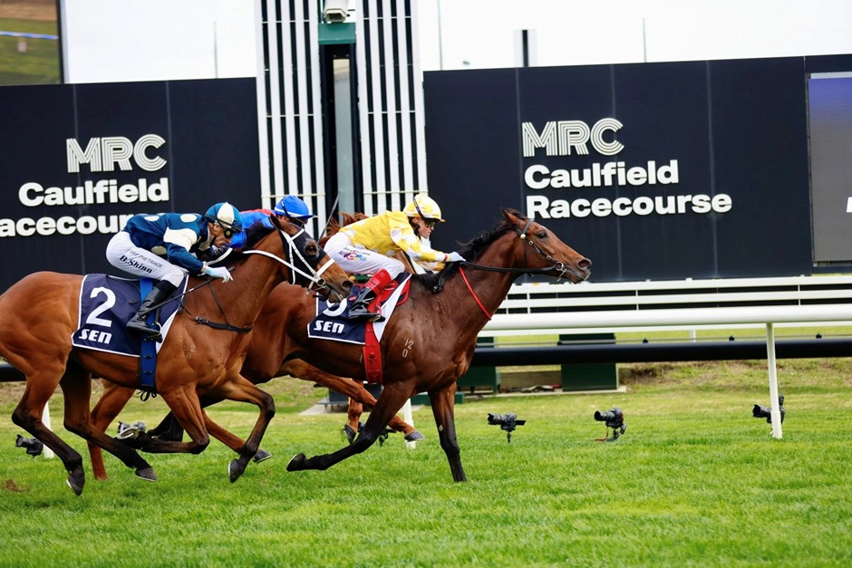Horses racing at the Schweppes Caulfield Social 2025 at Caulfield Racecourse in Melbourne