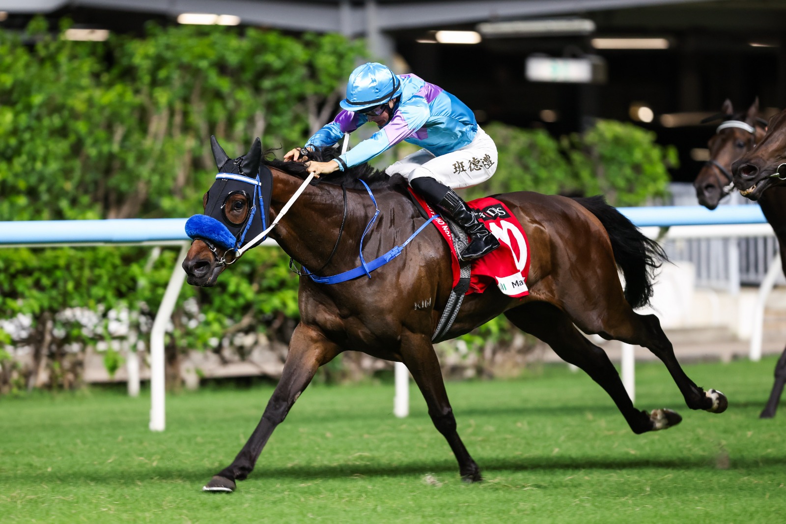 Lo Rider galloping powerfully at Happy Valley Racecourse during the Lei Yue Mun Handicap
