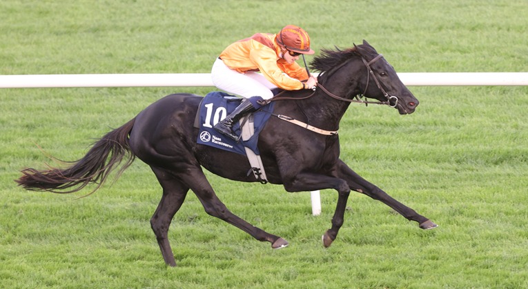 Punchestown Racecourse October 2025 meeting under William Hill banner