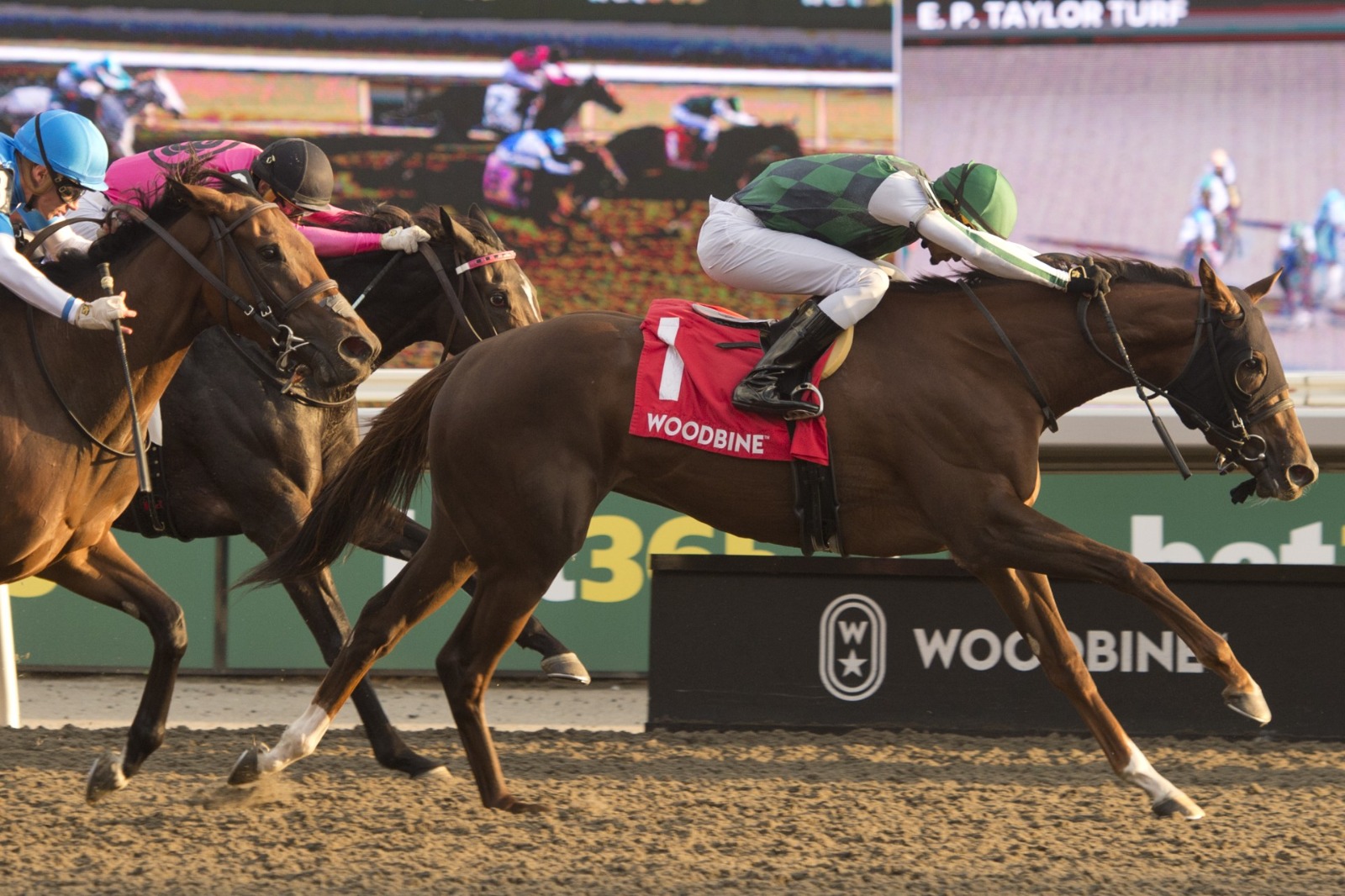 Shotgun Wedding wins the Ontario Damsel Stakes at Woodbine under jockey Keveh Nicholls.