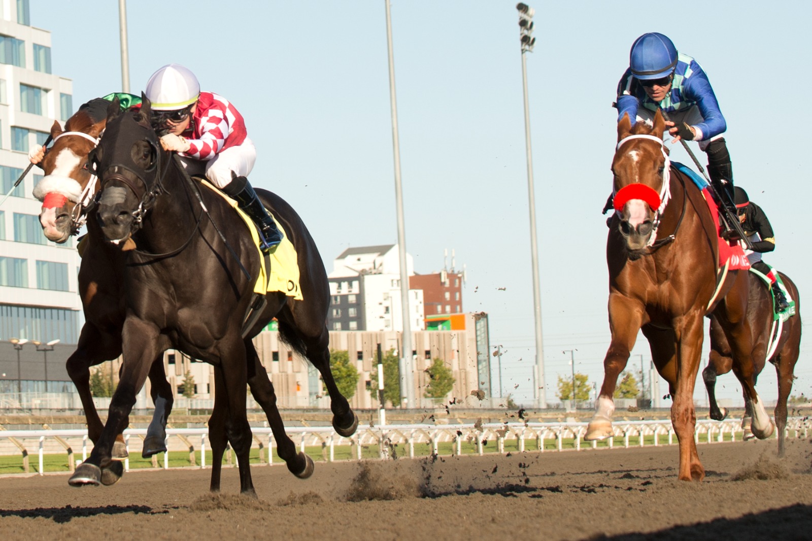 Jupiter winning the Display Stakes at Woodbine under jockey Fraser Aebly