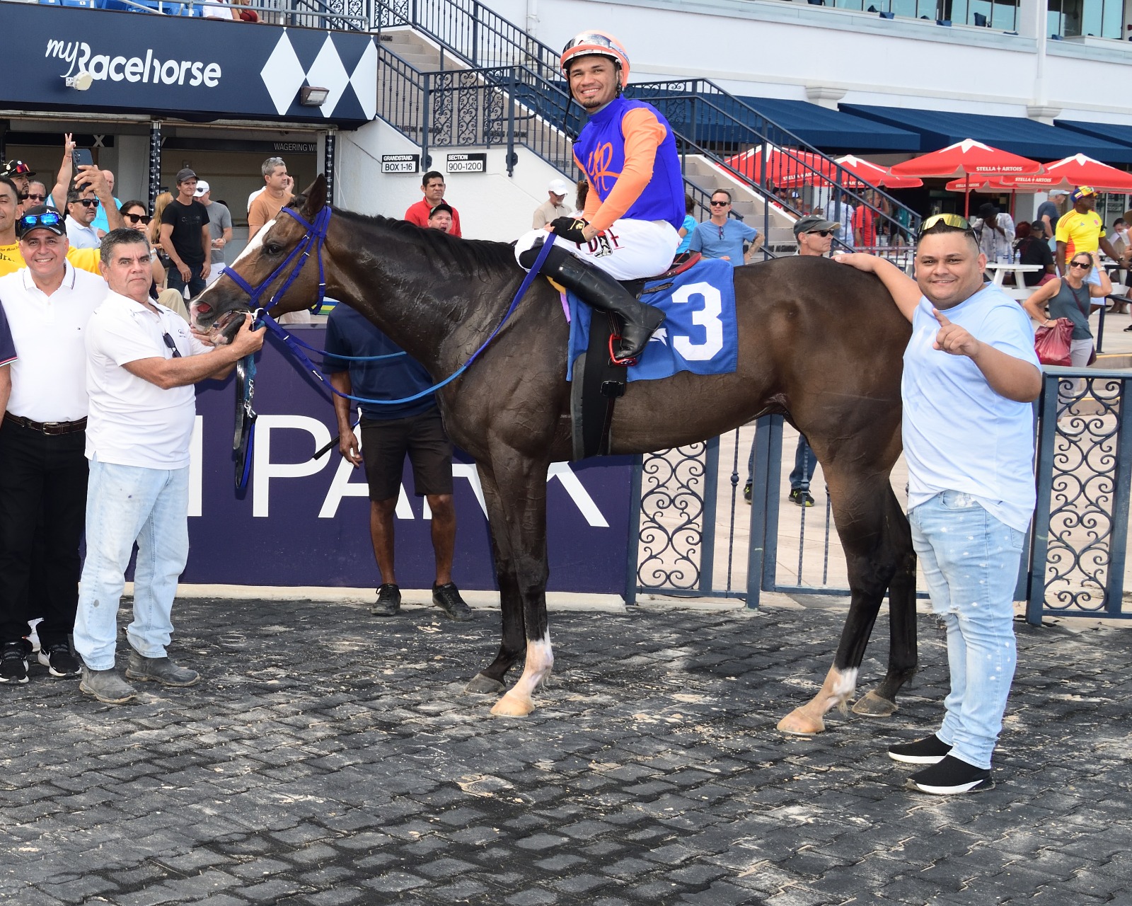 Rainbow 6 payout celebrations at Gulfstream Park with bettors and winning horses