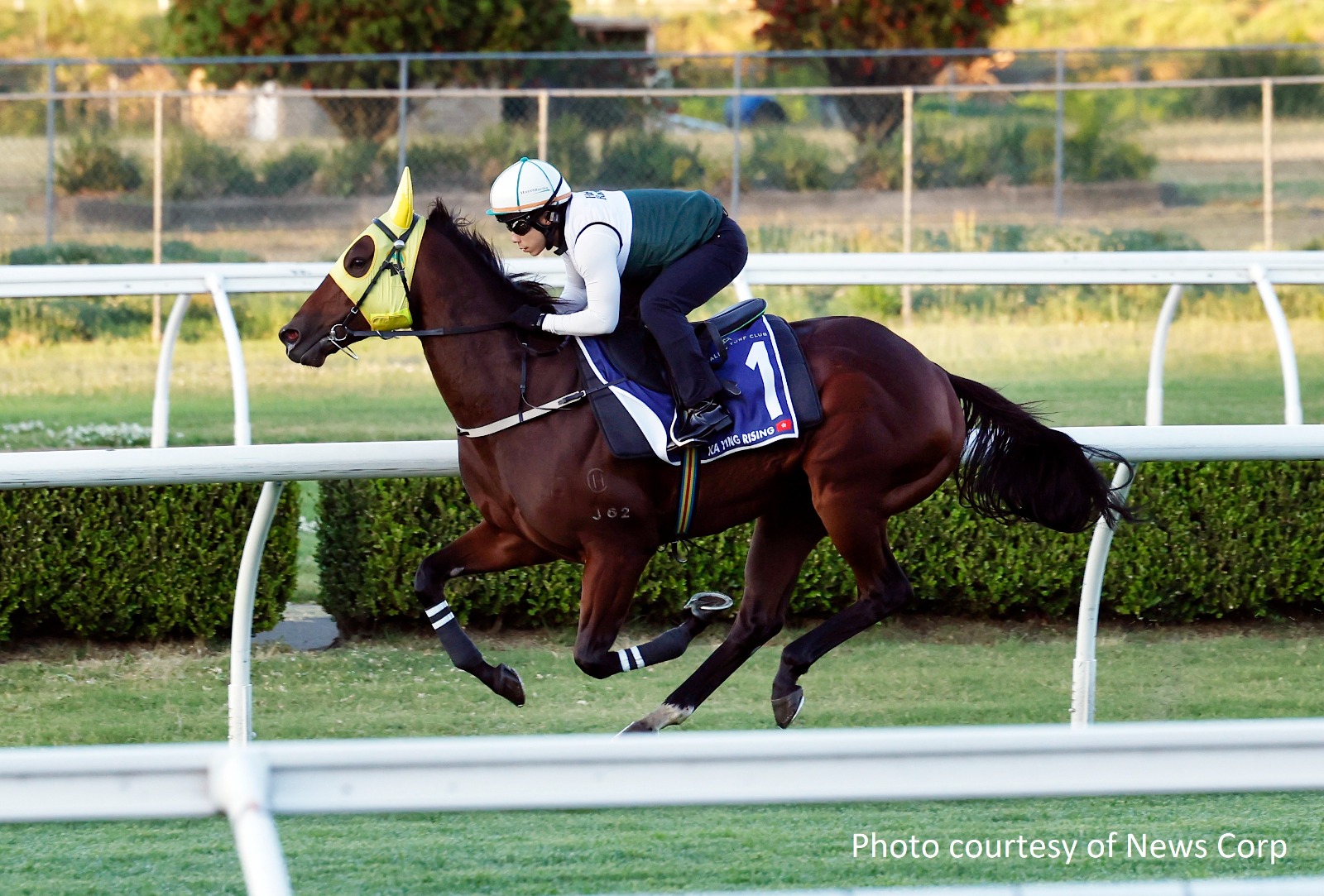 Ka Ying Rising galloping at Canterbury Racecourse ahead of The Everest