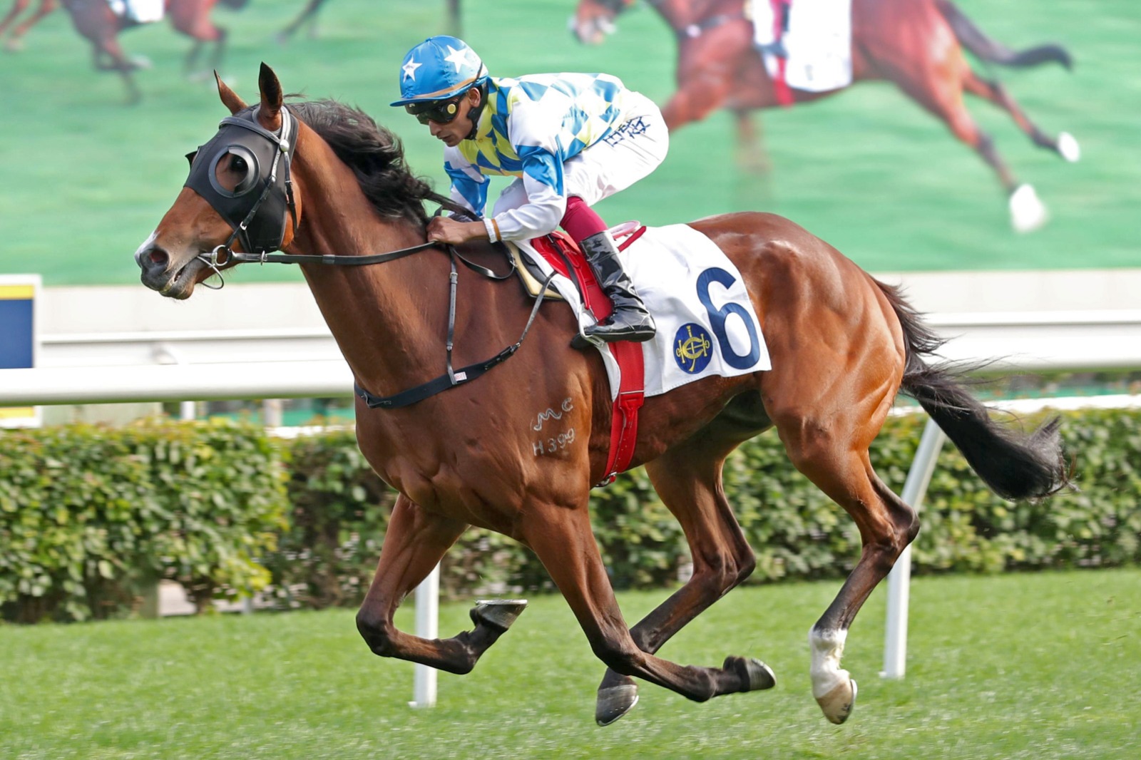 Galaxy Patch looks to defend his Sha Tin Trophy crown this Sunday, joining an elite list of Hong Kong milers chasing consecutive G2 victories.