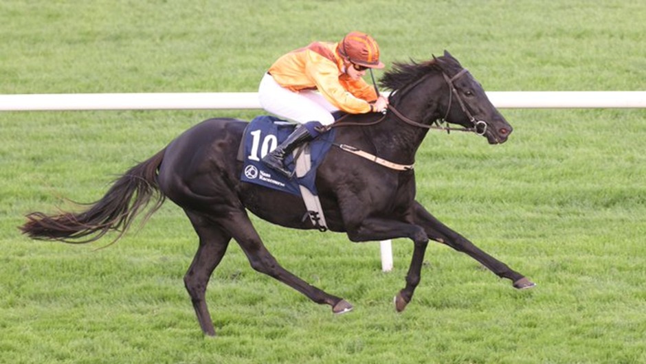 Curragh Racecourse Race Day 2025 overview showing top races, horses, and autumn racing action